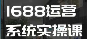 1688高阶运营系统实操课,快速掌握1688店铺运营的核心玩法-无痕资源库