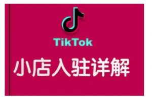 TikTok跨境小店运营全攻略，帮助你独立运营TK跨境小店的能力，实现销量增长-无痕资源库