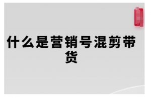 营销号混剪带货,从内容创作到流量变现的全流程,教你用营销号形式做混剪带货-无痕资源库