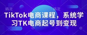 TikTok电商课程，​系统学习TK电商起号到变现-无痕资源库