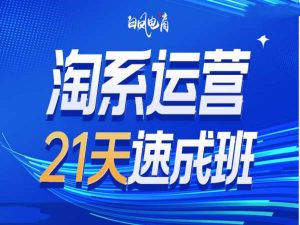 淘系运营21天速成班35期,年前最后一波和2025方向-无痕资源库
