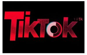 TikTok ads投流秘籍,涵盖tiktok整体投放思路,教你搭建测试计划-无痕资源库