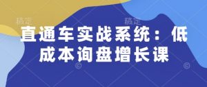 直通车实战系统:低成本询盘增长课,让个人通过技能实现升职加薪,让企业低成本获客,订单源源不断-无痕资源库