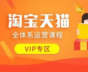 淘宝天猫全体系运营课程：店铺全系运营、动销玩法、付费推广、流量提升、擦边球玩法等等-无痕资源库
