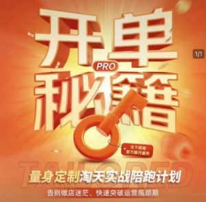 淘宝开单秘籍PRO，量身定制淘天实战陪跑计划，告别做店迷茫、快速突破运营瓶颈期-无痕资源库