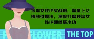顶流女性IP实战班,流量上亿情绪引爆法,深度打磨顶流女性IP硬核基本功-无痕资源库