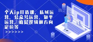 个人ip打造课,私域运营,公众号运营,知乎运营,底层逻辑和方向定位等-无痕资源库