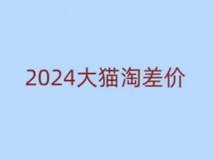 2024版大猫淘差价课程，新手也能学的无货源电商课程-无痕资源库