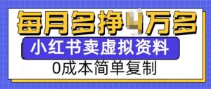 小红书虚拟资料项目,0成本简单复制,每个月多挣1W【揭秘】-无痕资源库