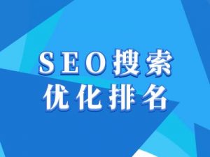 抖音搜索SEO教程，抖音SEO搜索优化排名-无痕资源库
