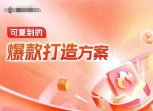 天猫电商爆款运营,可复制的爆款打造方案(线下内训课录音+字幕)-无痕资源库