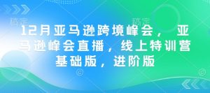 12月亚马逊跨境峰会， 亚马逊峰会直播，线上特训营基础版，进阶版-无痕资源库