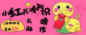 小红书冷知识账号,无脑复制粘贴,5分钟即可变现3张-无痕资源库