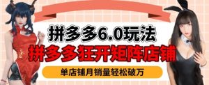 拼多多虚拟商品暴利6.0玩法，轻松实现月入过W-无痕资源库