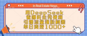 用DeepSeek做哪吒走秀视频，引爆流量涨粉利器，单日变现1k-无痕资源库