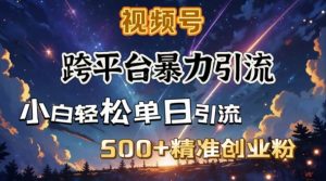 跨平台暴力引流,私域完美闭环,日引500+精准创业粉-无痕资源库