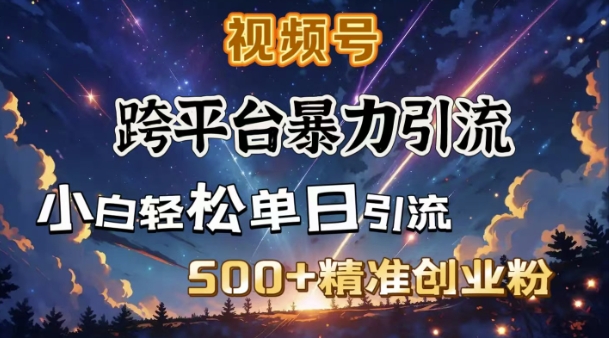 跨平台暴力引流,私域完美闭环,日引500+精准创业粉-无痕资源库