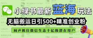 小绿书无脑搬运引流，全自动日引500精准创业粉，微信生态内又一个闷声发财的机会-无痕资源库