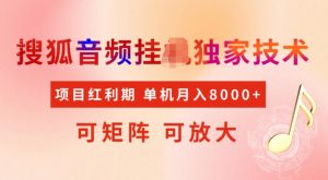 首发搜狐音频挂JI，项目红利期，可矩阵可放大，稳定月入5k【揭秘】-无痕资源库
