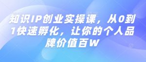 知识IP创业实操课，从0到1快速孵化，让你的个人品牌价值百W-无痕资源库