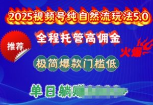 2025视频号纯自然流玩法5.0，全程托管高佣金，极简爆款门槛低，单日收益多张【揭秘】-无痕资源库