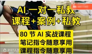 AI指令实战课,课程+案例,80节AI实战课程,笔记指令随意享用,课程指令随意享用-无痕资源库