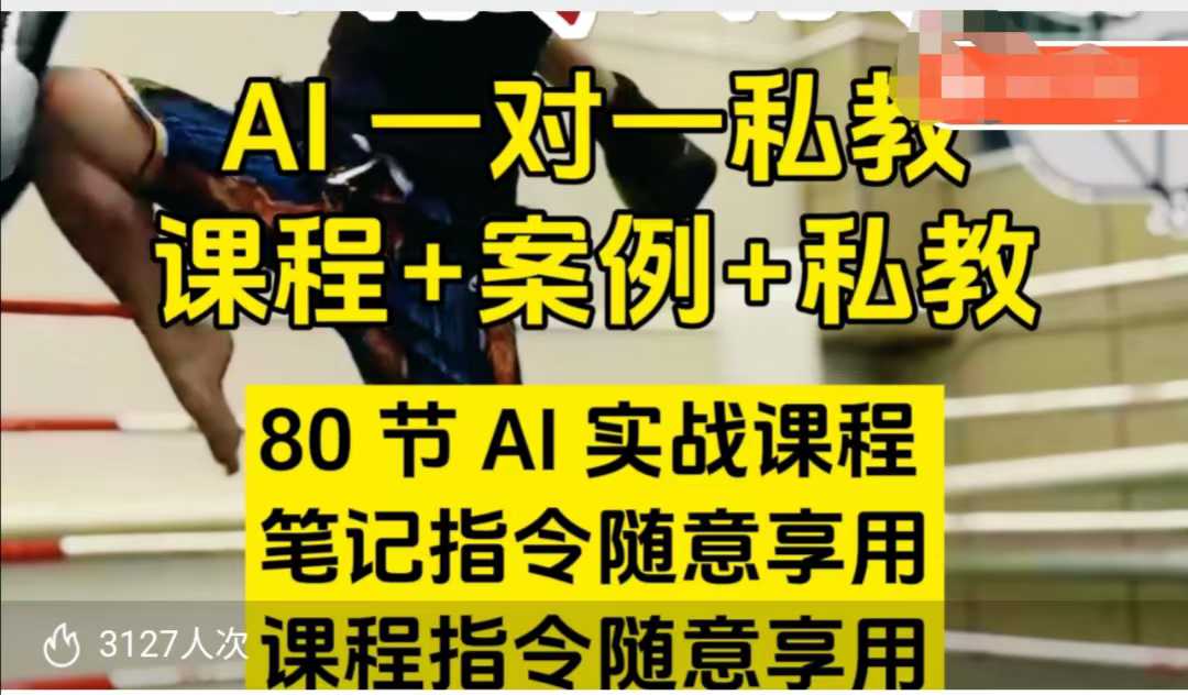 AI指令实战课,课程+案例,80节AI实战课程,笔记指令随意享用,课程指令随意享用-无痕资源库