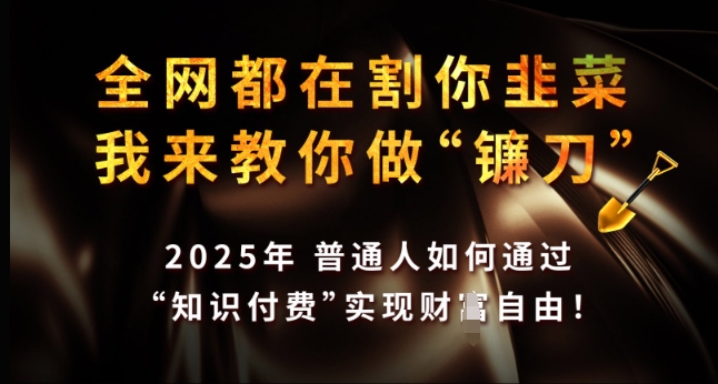 全网都在割你韭菜，我来教你做镰刀，2025年普通人如何通过 知识付费 实现财F自由【揭秘】-无痕资源库