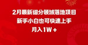 2月最新细分领域落地项目，新手小白也可快速上手，月入1W-无痕资源库