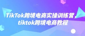 TikTok跨境电商实操训练营，tiktok跨境电商教程-无痕资源库