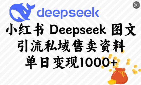 小红书Deepseek图文引流私域售卖资料，单日变现多张-无痕资源库