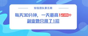 副业她只用了1招，每天30分钟，无脑二创，一天最高1.5k-无痕资源库