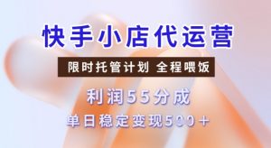 快手小店代运营3.0，模式新升级，收益55分，稳定单日5张【揭秘】-无痕资源库
