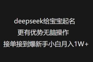 deepseek给宝宝起名更有优势无脑操作接单接到爆新手小白月入1W+-无痕资源库