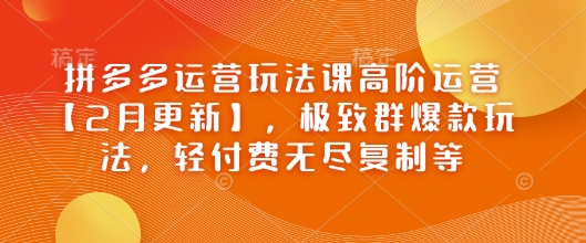 拼多多运营玩法课高阶运营【2月更新】,极致群爆款玩法,轻付费无尽复制等-无痕资源库