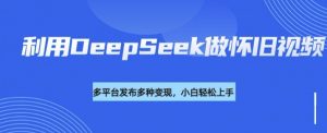 利用DeepSeek做怀旧视频,流量号多渠道变现能力强-无痕资源库