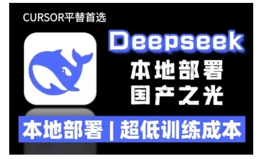 2025年deepseek R1 大型模型本地安装部署(文件+教程)本地部署,超低训练成本-无痕资源库
