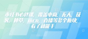 小红书必修课,覆盖电商,无人,获客,种草,mcn,直播等多个板块,看了就能干-无痕资源库