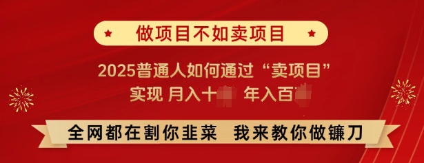 必看，做项目不如卖项目，2025普通人如何通过“卖项目”实现月入十个，年入百个-无痕资源库