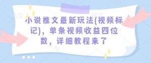 小说推文最新玩法(视频标记)，单条视频收益四位数，详细教程来了-无痕资源库