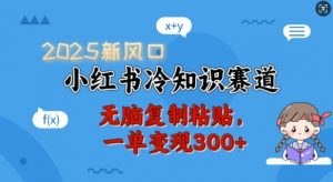 2025新风口,小红书冷知识赛道,无脑复制粘贴,一单变现300+-无痕资源库