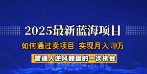 2025蓝海项目，普通人如何通过卖项目，实现月入过W，全过程【揭秘】-无痕资源库