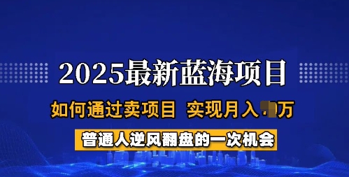 2025蓝海项目，普通人如何通过卖项目，实现月入过W，全过程【揭秘】-无痕资源库
